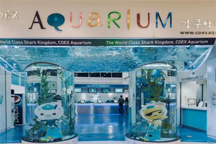首尔COEX水族馆