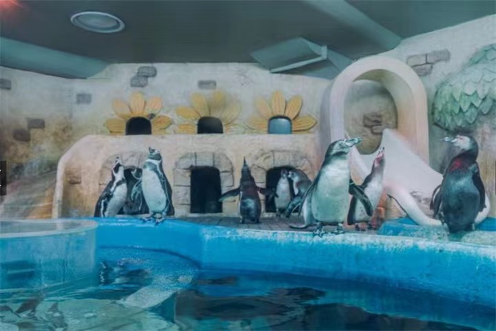首尔COEX水族馆