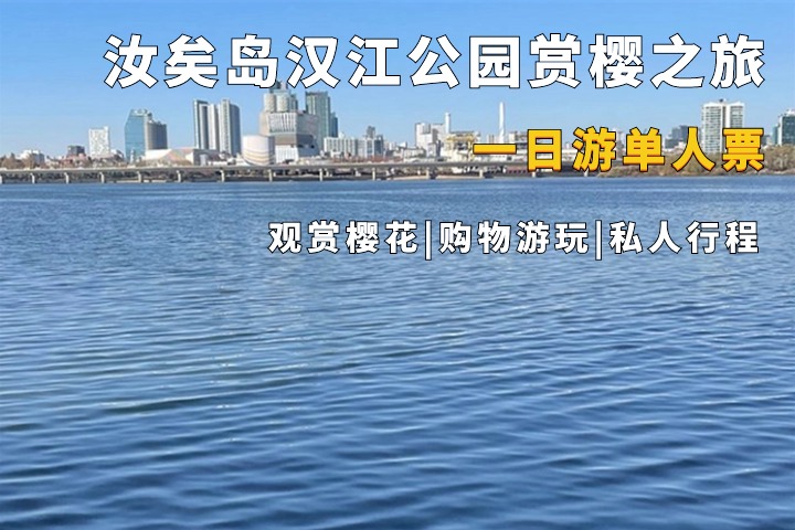汝矣岛汉江公园赏樱一日游