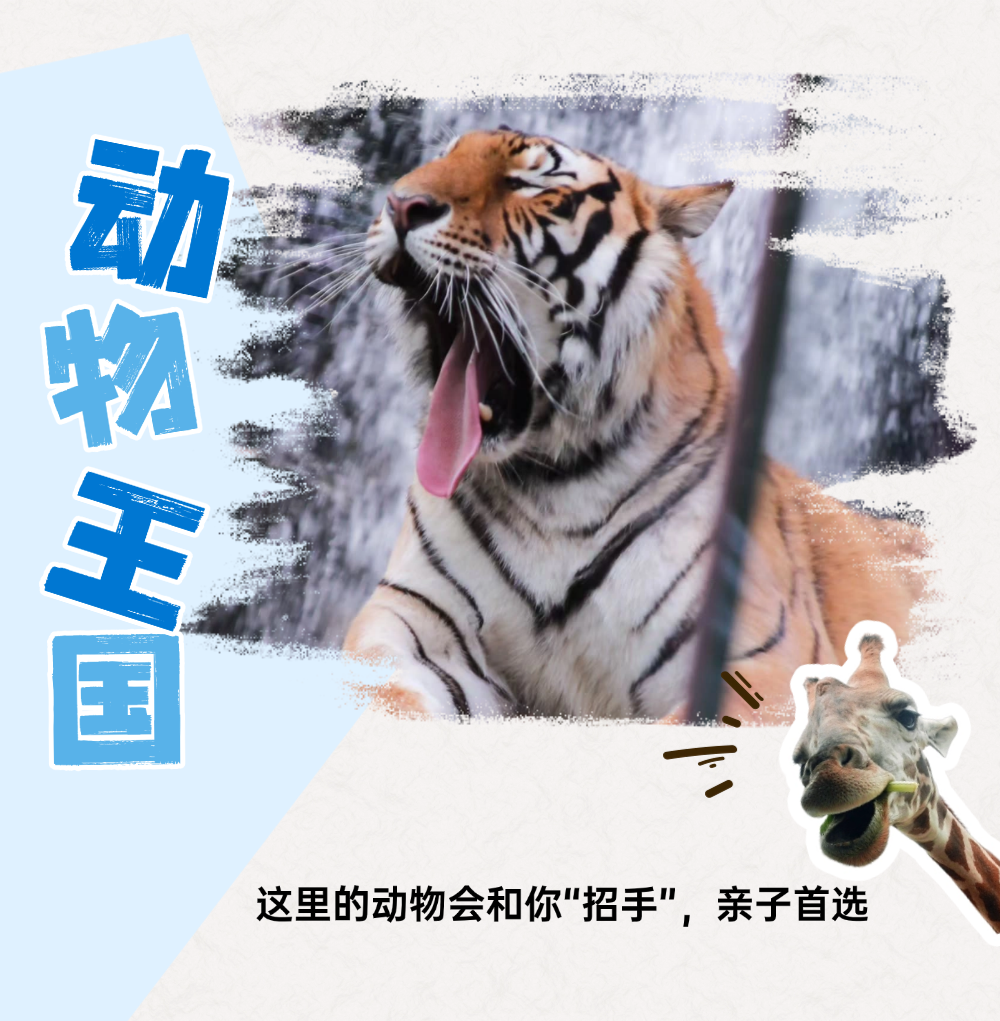 稿定设计-5