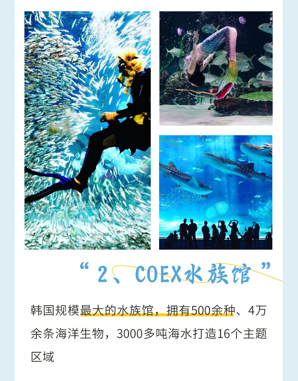 稿定设计-5 稿定设计-5