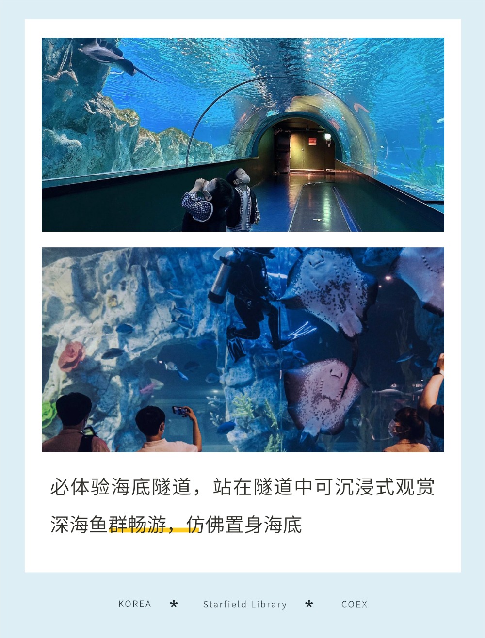 稿定设计-6 稿定设计-6